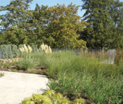 Green Roof Construction