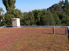 Geogrids