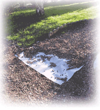 Geotextile Fabrics