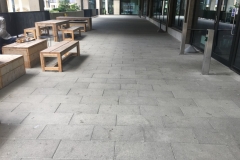 Adjustable paving support pad Museum of Zoology