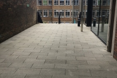Adjustable support pad for paving Museum of Zoology