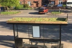 Bee-bus-stop-M-Tray-green-roof-Derby