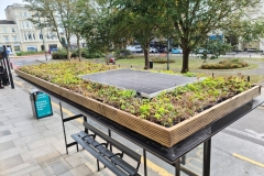 Clear-Channel-Bus-Shelter-with-Sedum-M-Tray-Solar-Panel-Brighton-Pic-1