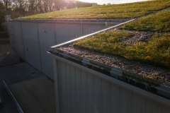 wallbarn-m-tray-modular-green-roof-project-wales-nov-2025-01