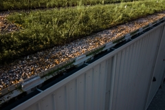 wallbarn-m-tray-modular-green-roof-project-wales-nov-2025-03