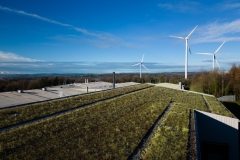 wallbarn-m-tray-modular-green-roof-project-wales-nov-2025-06