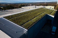 wallbarn-m-tray-modular-green-roof-project-wales-nov-2025-09