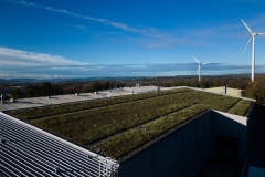 wallbarn-m-tray-modular-green-roof-project-wales-nov-2025-10