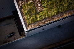 wallbarn-m-tray-modular-green-roof-project-wales-nov-2025-20