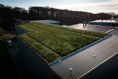 wallbarn-m-tray-modular-green-roof-project-wales-nov-2025-24