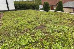 IMG-20211022-WA0001