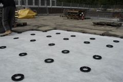 Plastic pave pads supporting concrete paving