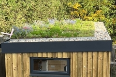 Image-Re-61073-63216