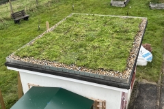 M-Tray-green-roof-fire-station