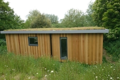 M-Tray-green-roof-on-garden-room-2