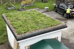 fire-station-green-roof