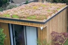 green-roof-garden-room-1