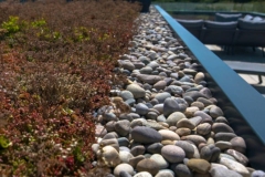 Wallbarn-Edging-Trim-with-Pebbles-on-Green-Roof