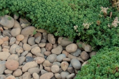 Wallbarn-Green-roof-Border-of-Riverstone-Pebbles