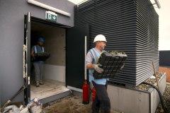 Installing-M-Tray-green-roof-3-carrying-to-roof-2