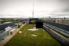 green-roof-Hammersmith-finished-1