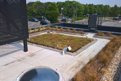 M-Tray-green-roof-finished-roof-Starbucks
