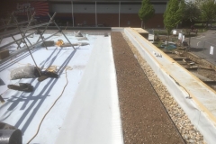 M-Tray-green-roof-pre-install-roof-Starbucks