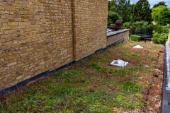 garage-roof-green-roof