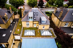 green-roof-aerial-shot-M-Tray