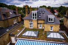 green-roof-domestic-project