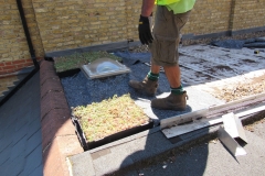 how-to-build-green-roof-domestic-project-8