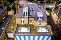 retro-fit-green-roof
