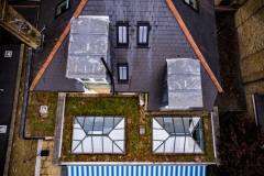 single-storey-extension-green-roof