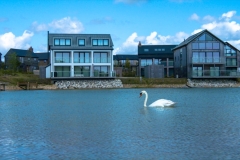 Silverlakes-green-roof-project-4