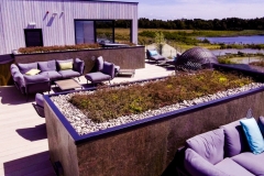 roof-terrace-green-roof