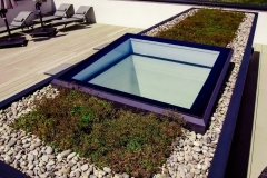 sedum-green-roof-mid-summer