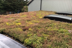 M-Tray-Project-Whitstable_000