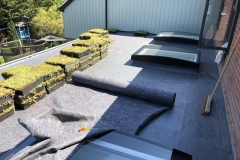 M-Tray-Project-Whitstable_009