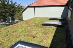 M-Tray-Project-Whitstable_010