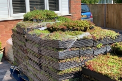 ease-of-delivery-green-roof