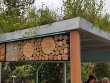 20150629_124003-Copy.jpg