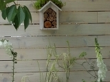 20150629_124628-Copy.jpg