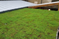 modular-green-roof