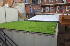 temporary-green-roof
