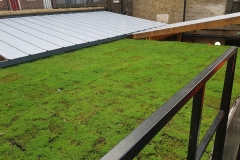 temporary-modular-green-roof