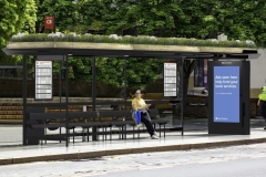 Bee-bus-stop-M-Tray-green-roof-Derby