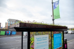 CCUK_COP_Living-Roof-Broomielaw-nr-York-St-Glasgow-5