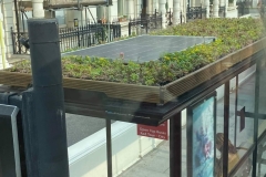 Elevated-View-of-Clear-Channel-Bus-Shelter-with-Sedum-M-Tray-Solar-Panel