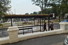 Profile-of-Clear-Channel-Bus-Shelter-with-Sedum-M-Tray-Brighton-Pic-2
