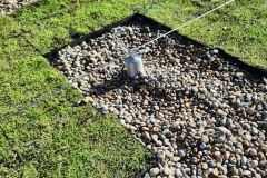 Wallbarn-M-Tray-Modular-Green-Roof-Project-02